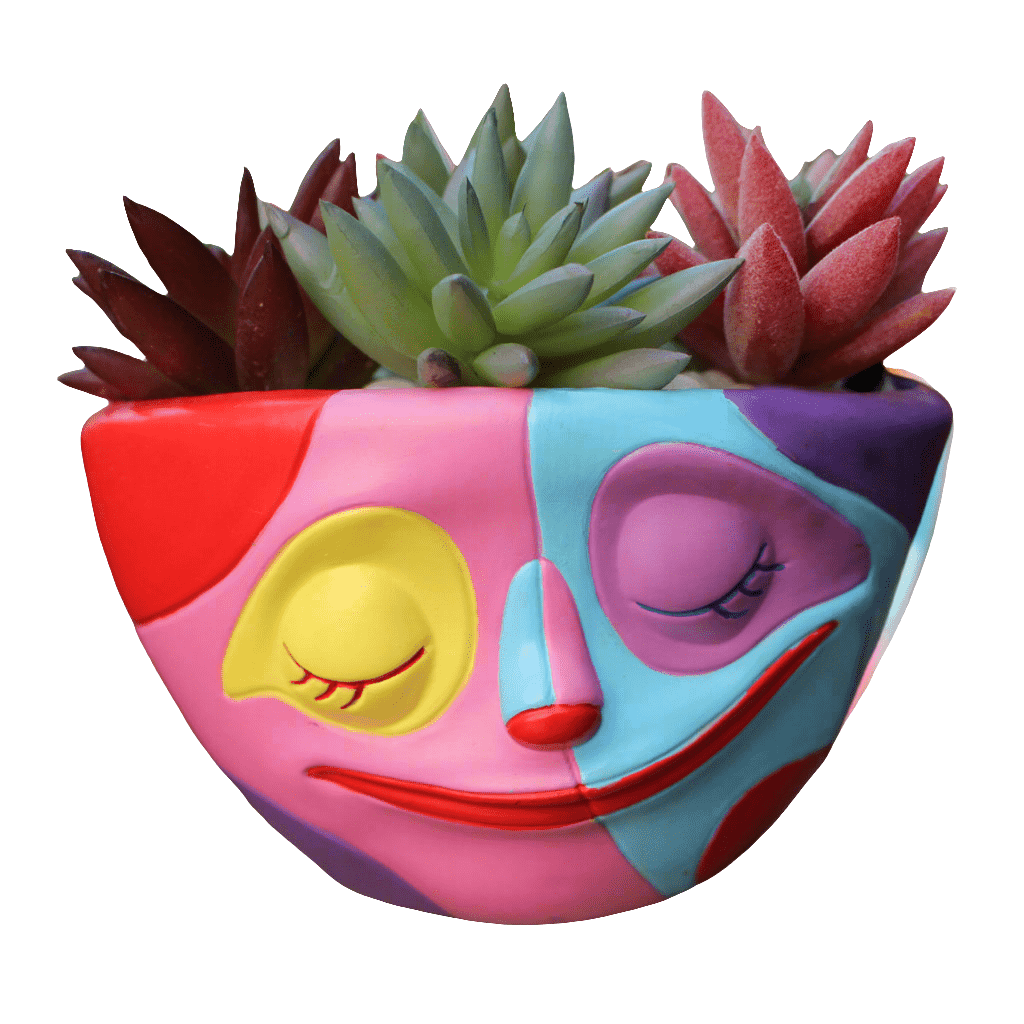 Abstract Rainbow Face Planter Koda Fashion & Decor