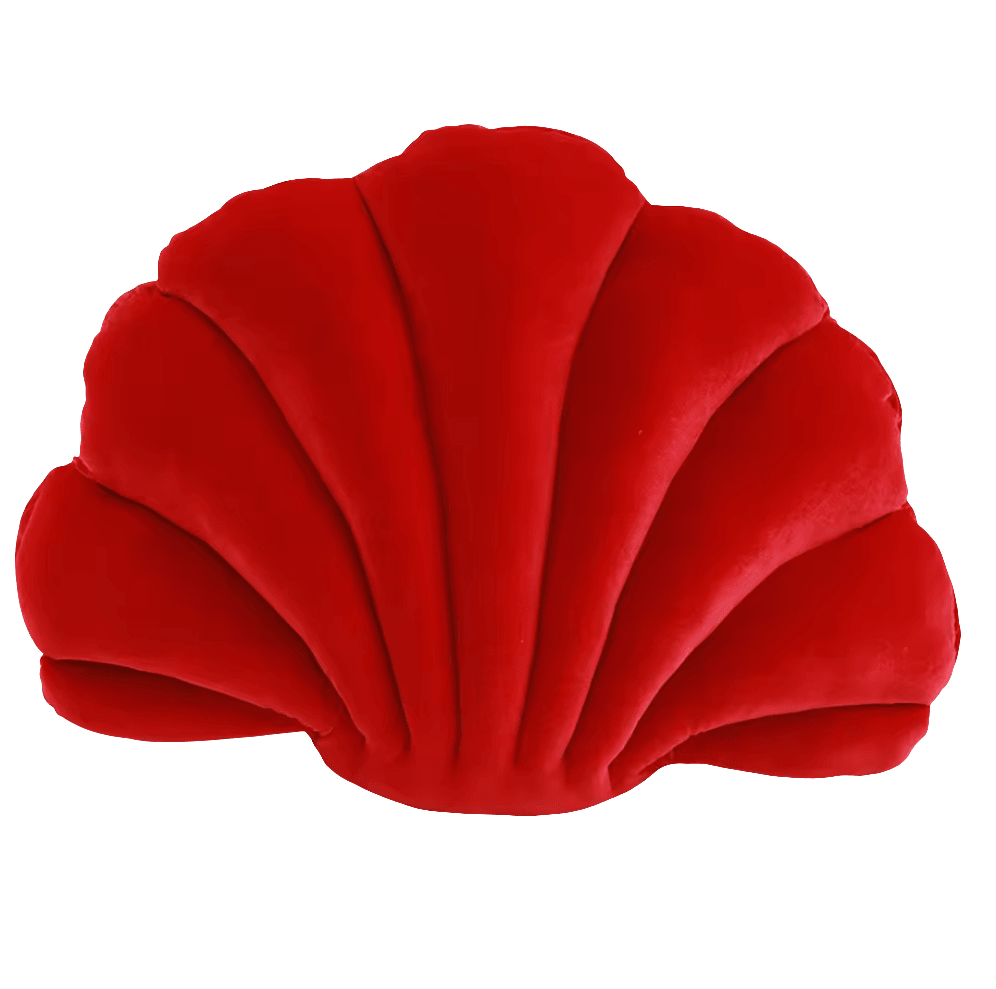 Colourful Classic Shell Cushion Koda Fashion & Decor